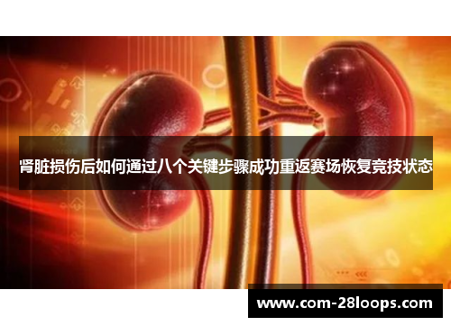 肾脏损伤后如何通过八个关键步骤成功重返赛场恢复竞技状态 肾脏损伤后如何通过八个关键步骤成功重返赛场恢复竞技状态
