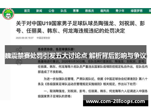 魏震禁赛处罚引发五大讨论点 解析背后影响与争议 魏震禁赛处罚引发五大讨论点 解析背后影响与争议